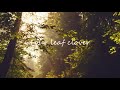 Four Leaf Clover(Original Song) lyric video