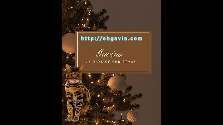 Grab Your Gavin Goodies Before They’re Gone! 🎄 Store Closing After Christmas  http://ohgavin.com​