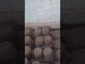new shapes making #viral #cementart #asmr