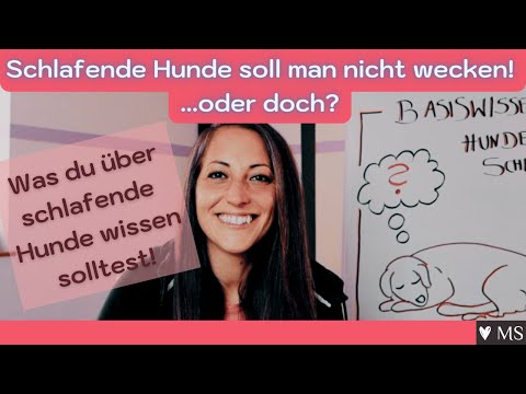 Video: Arten von Kampfkünsten, um dich fit zu machen