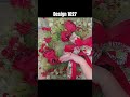 DIY Country Christmas Floral Wreath | Traditional Holiday Front Door Decor | Design 1027