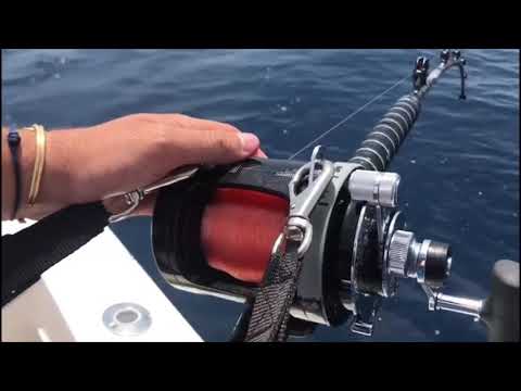 Tonno su Normic S3 50lb, Tiagra 50W