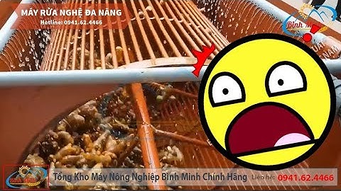 Máy Rửa Nghệ Đa Năng Rửa Sạch Các Loại Củ Quả | Công Ty Bình Minh