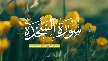 سورة السجدة بصوت القارئ عبد الرحمن مسعد صوت يأخذك الى مرافئ الأمان والسلام 🌻🍃