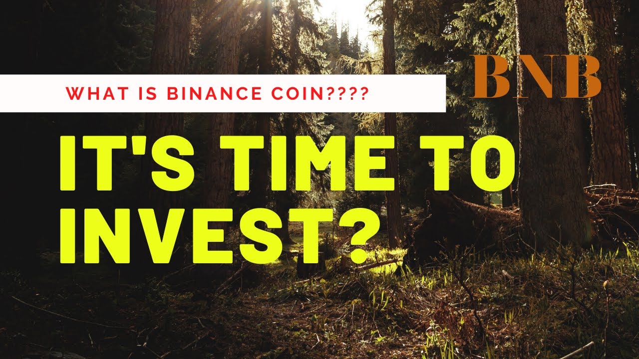is bnb coin a good investment