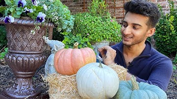 Fall Container Design 2021🍂🌻