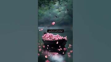 القران الكريم بصوت الشيخ ياسر الدوسري