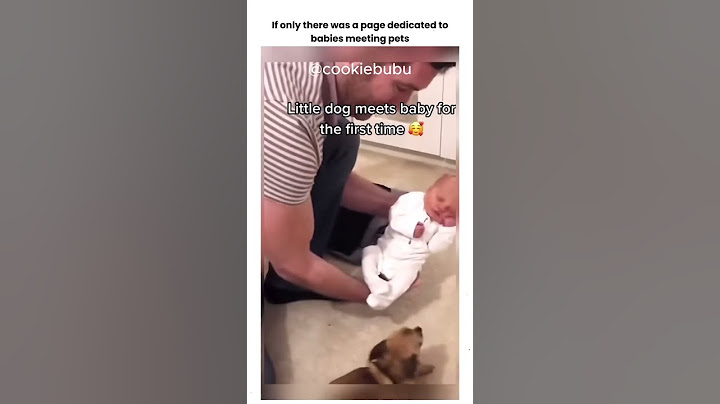 🐶👶 ¡Pequeños perritos conociendo a pequeños bebés! ❤️✨ @cookiebubu