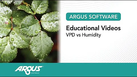 VPD vs Humidity - DayDayNews