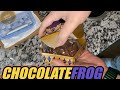 Chocolate frog harry potter  universal orlando  wizarding world