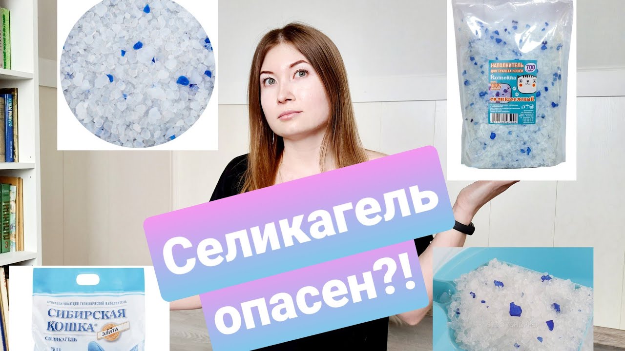 Было сложно, но я сняла это видео. Селикагель, Инстаграм, корма. - YouTube
