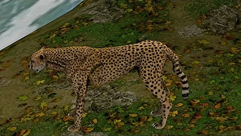 Wild Dino Hunting Game 3D Mission 11