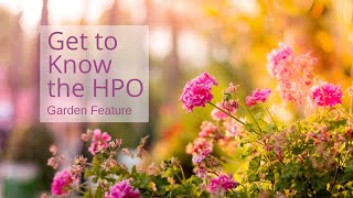 Get to Know the HPO: Garden Week with Team Member Lennox Toppin &amp; Bassoonist Melanie Eyers