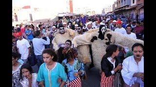 تقاليد  أسفي هرمة وما يعرف  ببو الجلود  Tradition safi harma . bou jloud