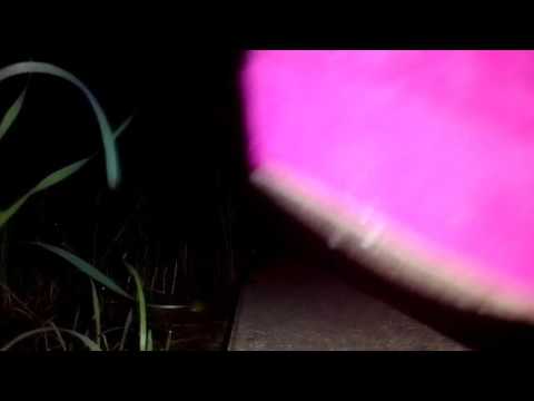 Blooper at a french parking place