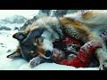 Rescue Dogs get Stuck in COLD Desert | Film/Movie Explained in Hindi/Urdu | Movie Story