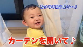 【生後7ヶ月】カーテンに包まれたなら