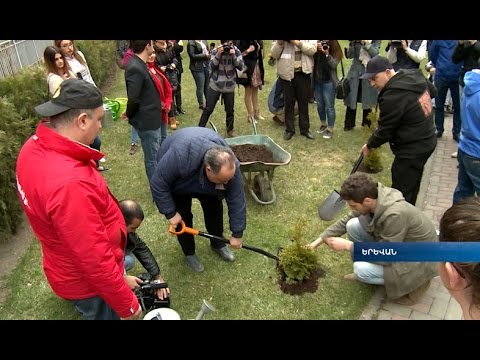 Video: Հյուսի ուռենուց պատրաստված ծառատունկը `ձեր սեփական ձեռքերով որթատունկից« կենդանի »ծառի հյուսելը, կատարման տեխնիկան, ինչպես հոգ տանել