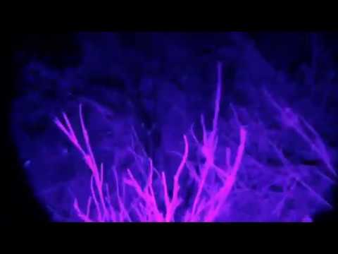 صوت الزار للجن وشاهد كيف يظهرون في المزرعة المهجورة الجزء الثاني 18