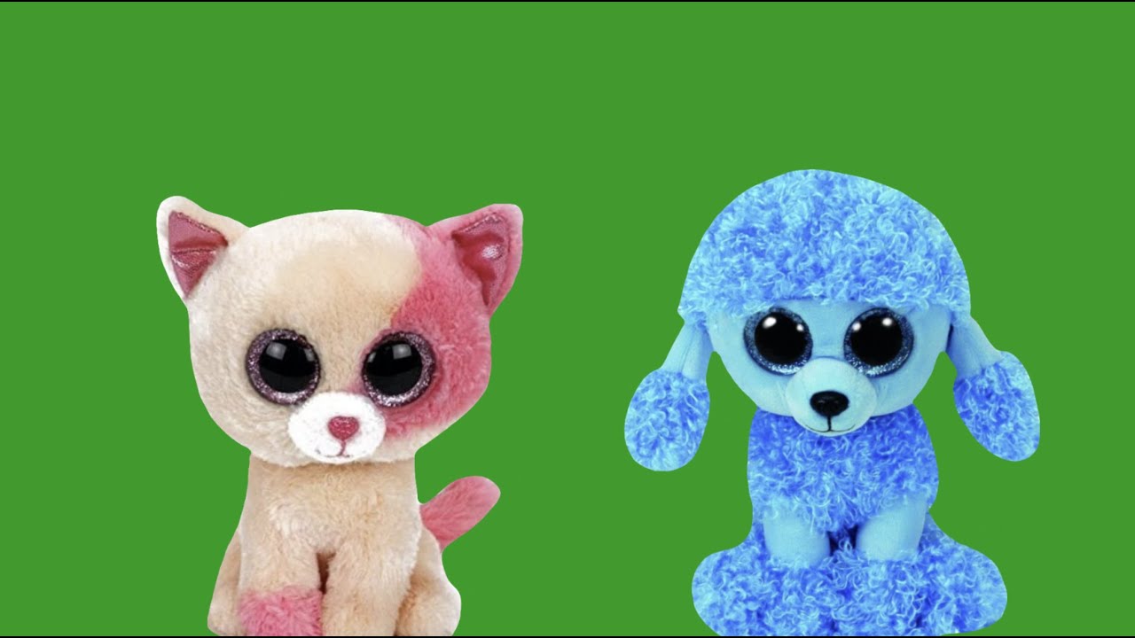 Bootuber Birthday Shoutout! 