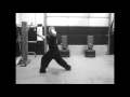 Choy lay fut kung fu siu moi fah kuen