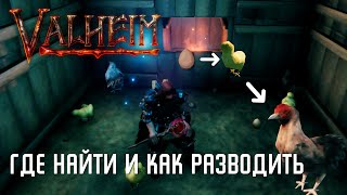 Valheim - Где найти и как разводить курицу [Гайд]