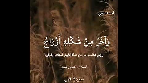 هذا وإن للطاغين لشر مآب | من سورة ص | أحمد الشافعي | تلاوة مؤثرة 🧡🍂
