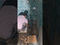Bathroom Wall Tiles Part 2 Leenaslifestyle Song Tiles Golmaal Bathroomtiles Design Besttiles 