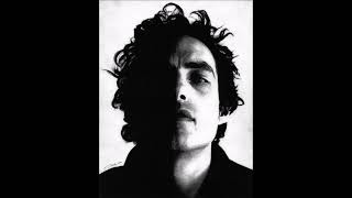 The Wallflowers 'Letters from the Wasteland' (live 2005, half acoustic, full band)