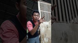 kucing joget kicau mania #shorts #trending #funny #viral
