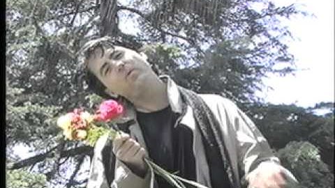 Pouring Rain by Devin Thomas