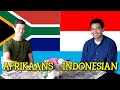 Similarities Between Afrikaans and Indonesian