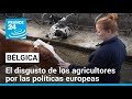 Elecciones europeas: los agricultores belgas están hartos