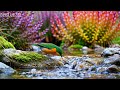 🔴 24/7 LIVE: Relaxing Piano & Spring Birds 🎹 Deep Focus Music for Study Time