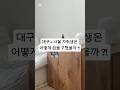 서울살이 팍팍하지만 나름 살만하다구 〰️#자취스타그램 #직장인 #집구하기 #서울자취 #부동산정보 #자취방인테리어 #전세 #월세