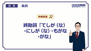 【古文】　助詞２２　終助詞「てしがな・にしがな・もがな・がな」　（１１分）