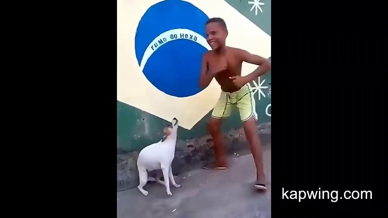 Dog dancing meme dog crying sound effect