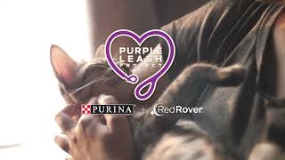 #PurinaPurpleLeashProject - Helping Abuse Survivors & Their Pets Escape and Heal Together :06 by Purina 181 views 1 year ago 7 seconds