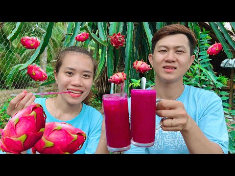 Video Hái Thanh Long trong vườn làm nước ép và Cái Kết || Vợ... - youtube