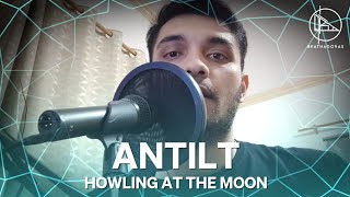 Antilt Howling At The Moon