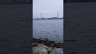 Restoran Masakan Laut Stulang Laut