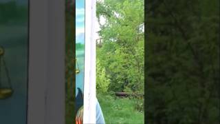 Одержимый  #демон #сверхъестественное #духовность