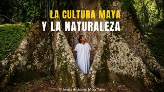 La cosmovisión maya lacandon en la conservación de la naturaleza