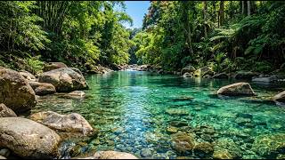 Tranquil Forest River Escape A Hidden Nature Getaway”
