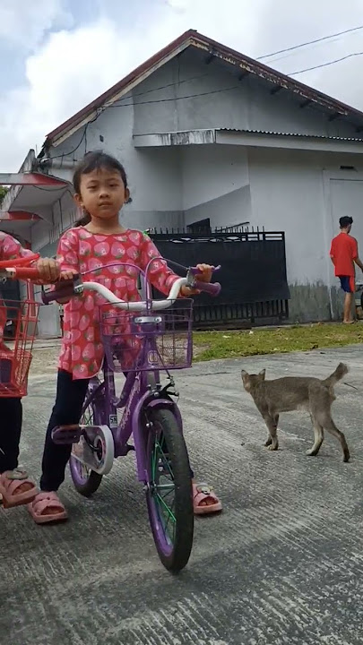 Meong nya siapa tu #shorts #trending #fyp #twins