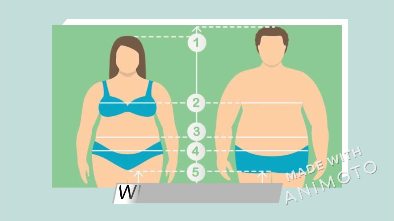 Средняя комплекция человека. Женщины разной комплекции. Селебрити с круглым лицом. Индекс массы тела при беременности. Полнота к лицу.