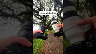 14mm vs 200mm which best.#shorts #youtubeshorts