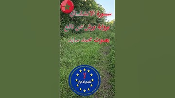 ســـــــورة الانـشـقـــــاق برواية ورش عن نافع  بصوت محمد سايد