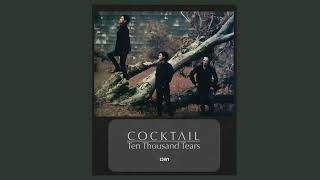 รวมเพลงCOCKTAIL เธอทำให้ฉันเสียใจ, ฉันร้องไห้เป็นหมื่นครั้งเพื่อมาเจอเธอ, อัลบั้