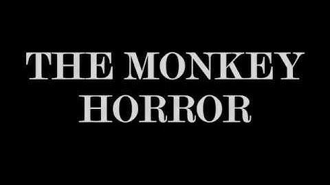 MONKEY HORROR - Blender animated short horror film